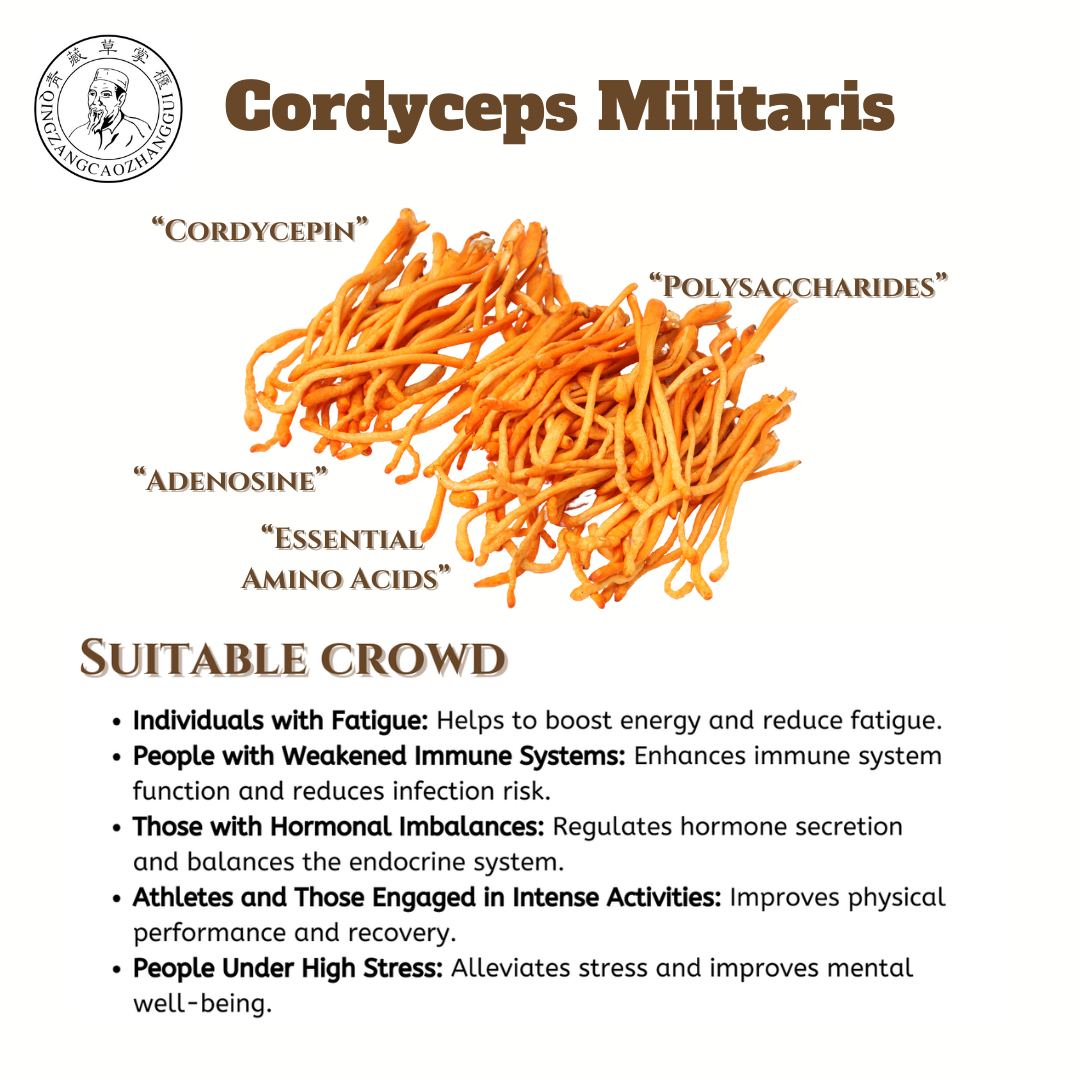 Cordyceps militaris Bagged