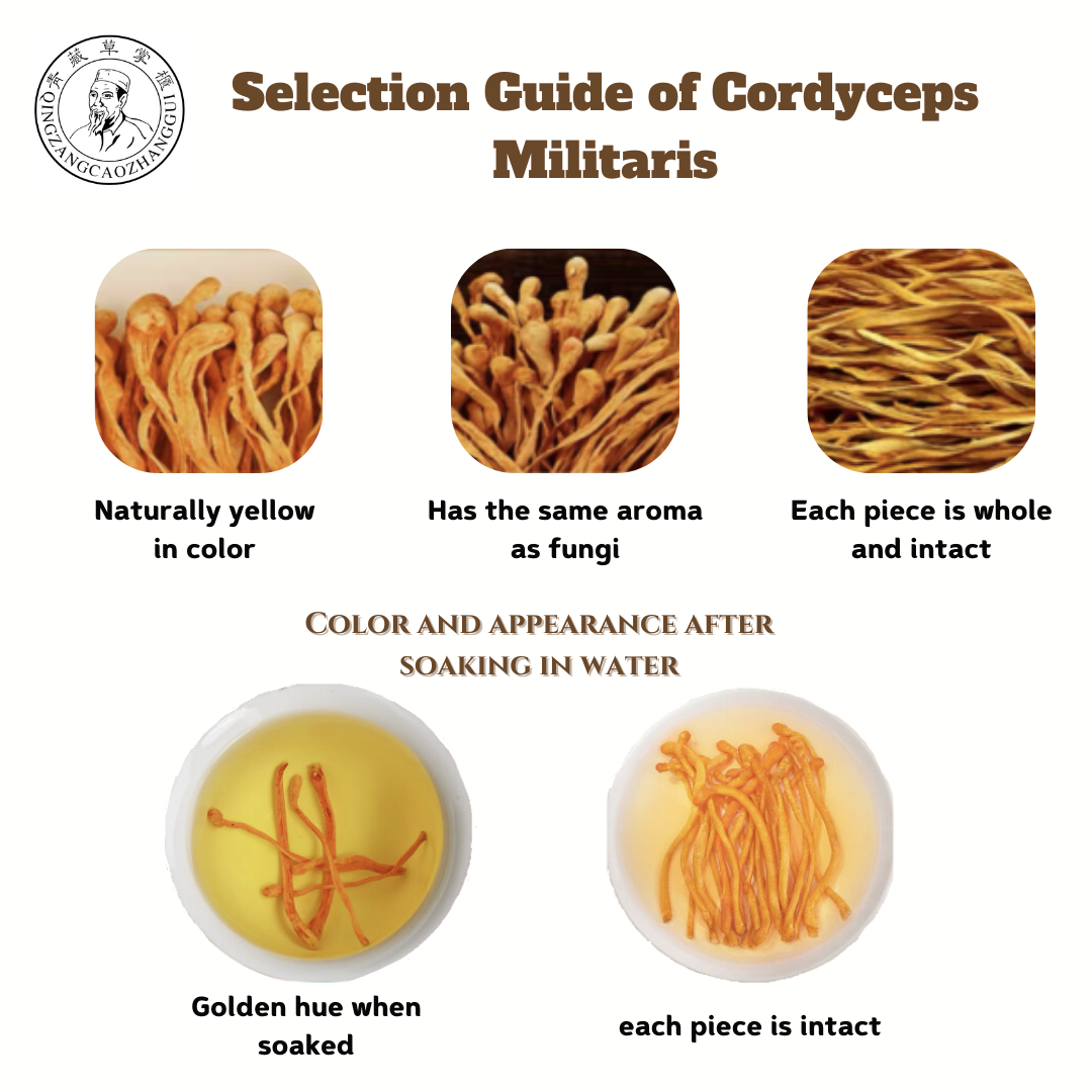 Cordyceps militaris Bagged