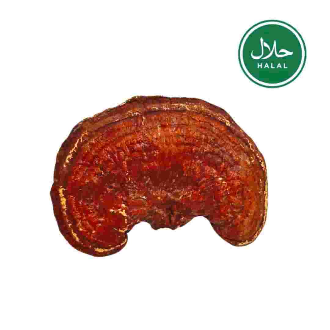 Ganoderma Lucidum First Grade/Premium/Superior