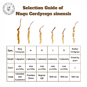 Tibetan Nagqu Cordyceps sinensis (2pcs/g 100pcs 50g)